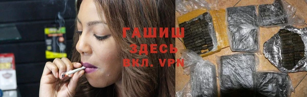 ECSTASY Богданович