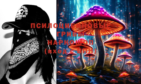 ECSTASY Богданович
