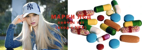 ECSTASY Богданович