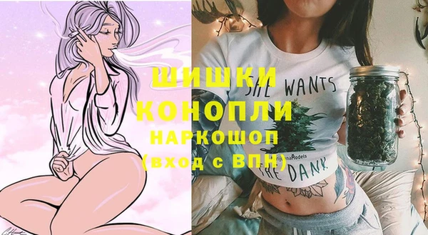 ECSTASY Богданович