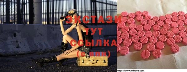 ECSTASY Богданович