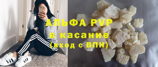 ECSTASY Богданович