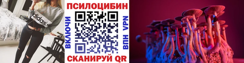 Псилоцибиновые грибы Psilocybe  Тюмень 